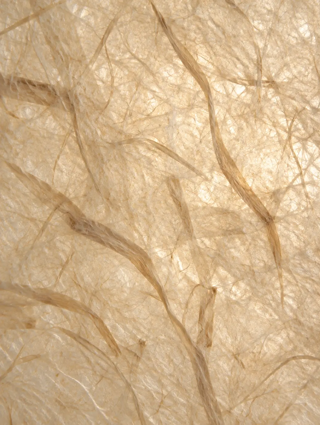 Handmade washi paper lit softly from behind.